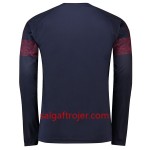 Arsenal Fodboldtrøjer Udebanesæt 2018/19 Langærmet